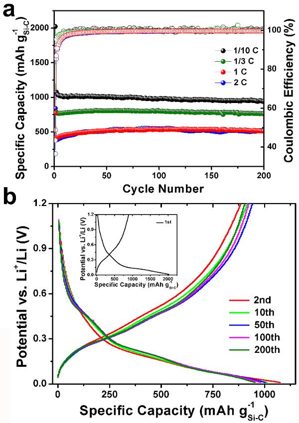 充電機充電鋰電池電化學性能研究