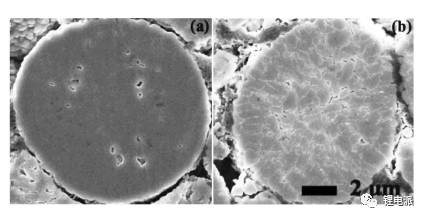 循環前后充電機充電蓄電池正極SEM圖譜