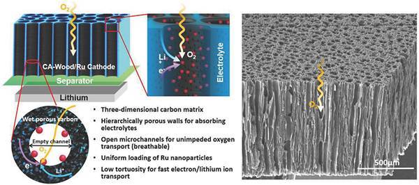 以碳化活性木頭/釕為正極的充電機充電鋰氧蓄電池示意圖 以碳化活性木頭/釕為正極的充電機充電鋰氧蓄電池示意圖