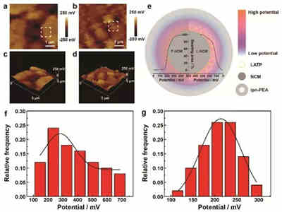 增強充電機充電固態蓄電池的界面動力學的離子導體層減弱正極-固態電解質的界面電位研究